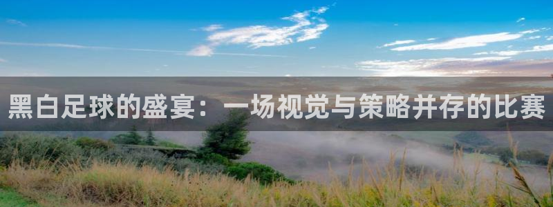黑白足球的盛宴：一场视觉与策略并存的比赛